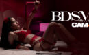 Découvrez la galerie du weekend CAM4 #BDSM